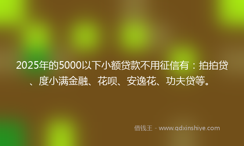 2025年的5000以下小额贷款不用征信有：拍拍贷、度小满金融、花呗、安逸花、功夫贷等。