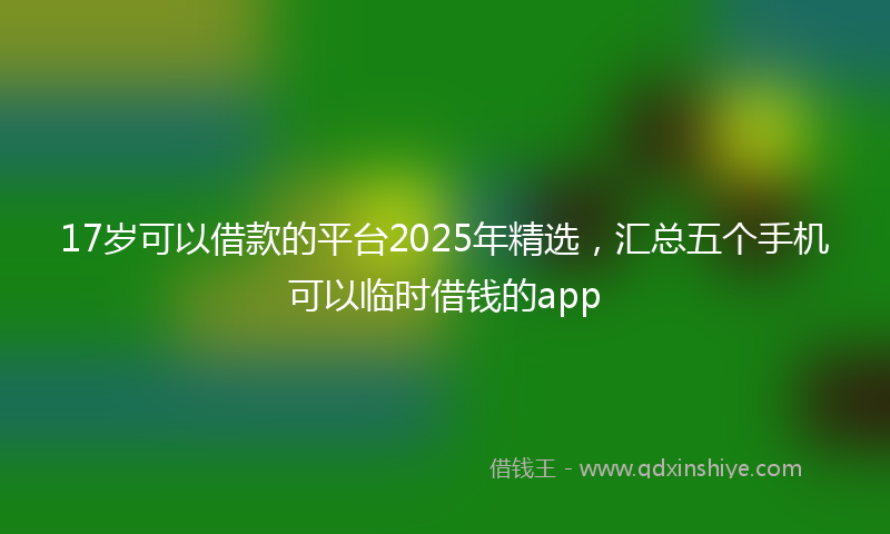 17岁可以借款的平台2025年精选，汇总五个手机可以临时借钱的app