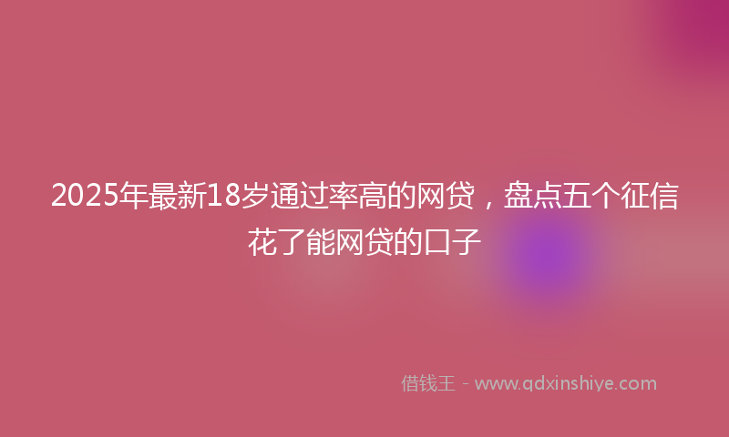 2025年最新18岁通过率高的网贷，盘点五个征信花了能网贷的口子