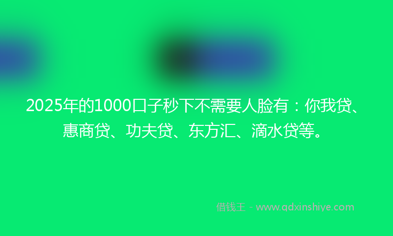 2025年的1000口子秒下不需要人脸有：你我贷、惠商贷、功夫贷、东方汇、滴水贷等。