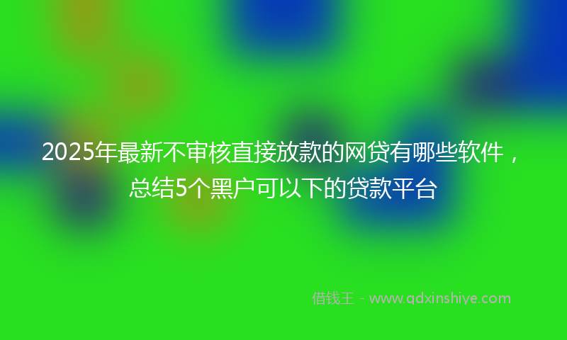 2025年最新不审核直接放款的网贷有哪些软件，总结5个黑户可以下的贷款平台