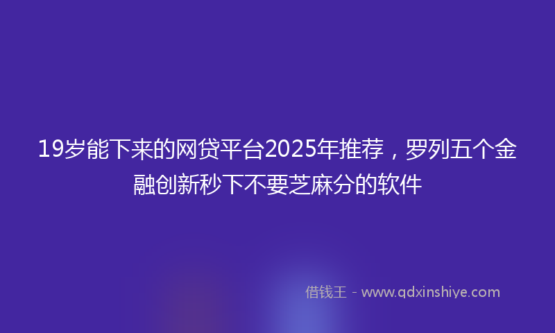 19岁能下来的网贷平台2025年推荐，罗列五个金融创新秒下不要芝麻分的软件