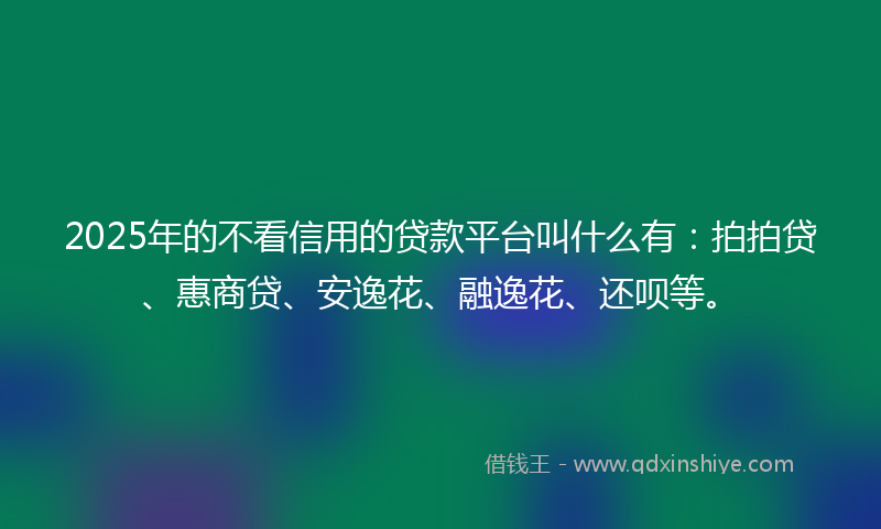 2025年的不看信用的贷款平台叫什么有：拍拍贷、惠商贷、安逸花、融逸花、还呗等。