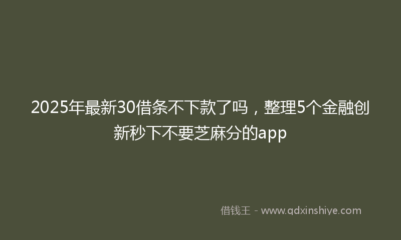 2025年最新30借条不下款了吗，整理5个金融创新秒下不要芝麻分的app