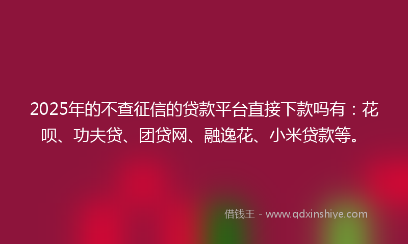 2025年的不查征信的贷款平台直接下款吗有：花呗、功夫贷、团贷网、融逸花、小米贷款等。