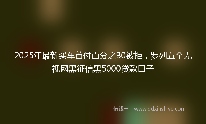 2025年最新买车首付百分之30被拒，罗列五个无视网黑征信黑5000贷款口子