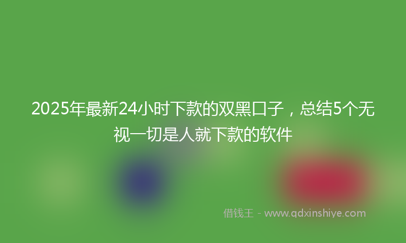 2025年最新24小时下款的双黑口子，总结5个无视一切是人就下款的软件