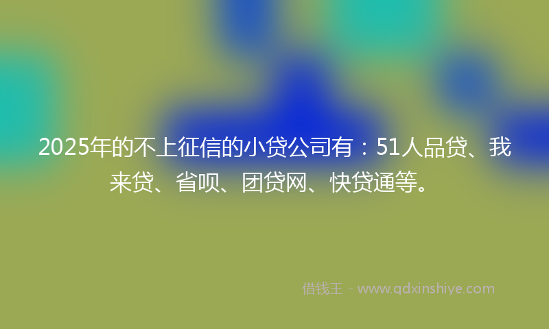 2025年的不上征信的小贷公司有：51人品贷、我来贷、省呗、团贷网、快贷通等。