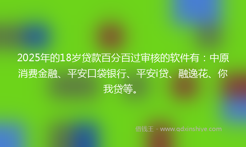 2025年的18岁贷款百分百过审核的软件有：中原消费金融、平安口袋银行、平安i贷、融逸花、你我贷等。