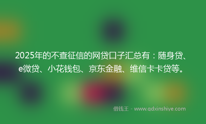 2025年的不查征信的网贷口子汇总有：随身贷、e微贷、小花钱包、京东金融、维信卡卡贷等。