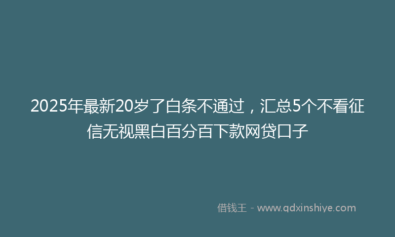 2025年最新20岁了白条不通过，汇总5个不看征信无视黑白百分百下款网贷口子