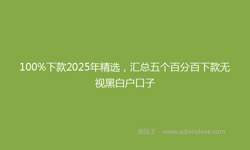 100%下款2025年精选，汇总五个百分百下款无视黑白户口子