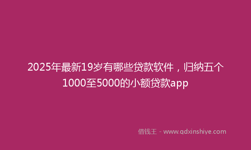2025年最新19岁有哪些贷款软件，归纳五个1000至5000的小额贷款app