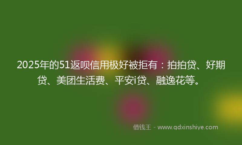 2025年的51返呗信用极好被拒有：拍拍贷、好期贷、美团生活费、平安i贷、融逸花等。