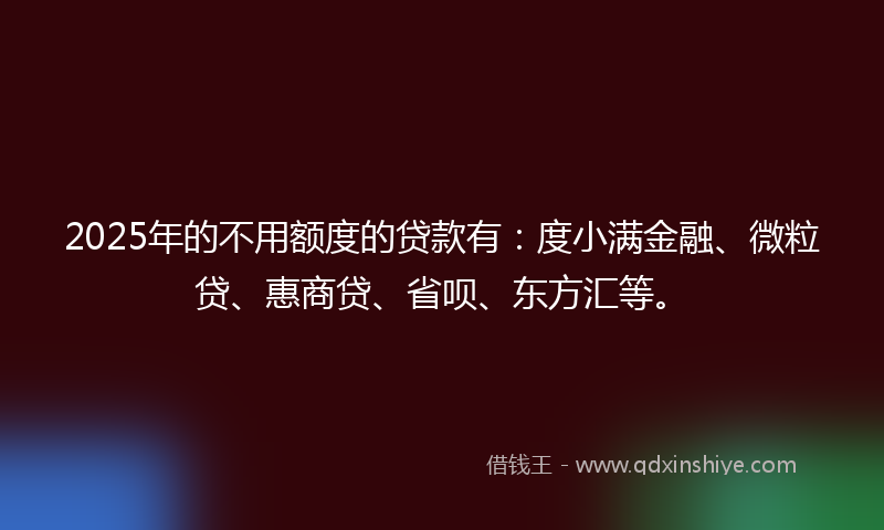 2025年的不用额度的贷款有：度小满金融、微粒贷、惠商贷、省呗、东方汇等。