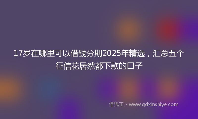 17岁在哪里可以借钱分期2025年精选，汇总五个征信花居然都下款的口子