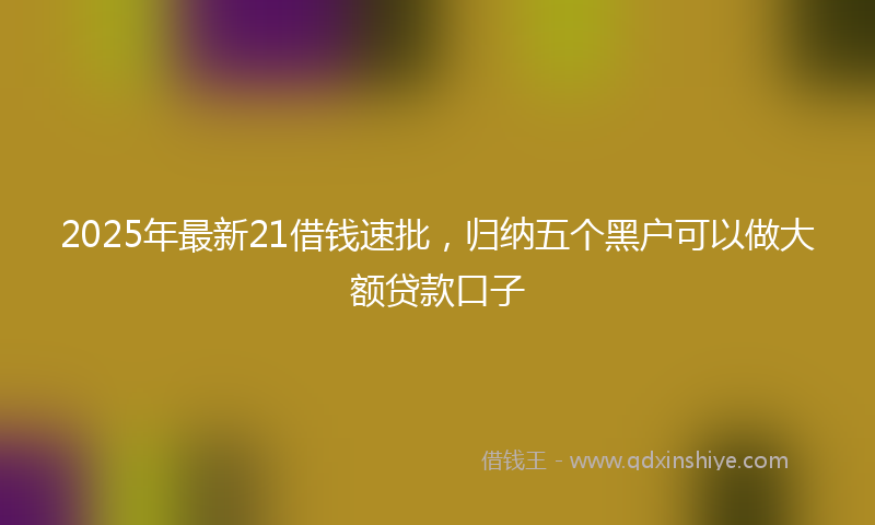 2025年最新21借钱速批，归纳五个黑户可以做大额贷款口子