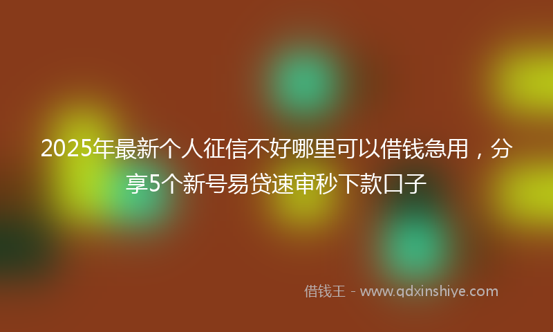 2025年最新个人征信不好哪里可以借钱急用，分享5个新号易贷速审秒下款口子