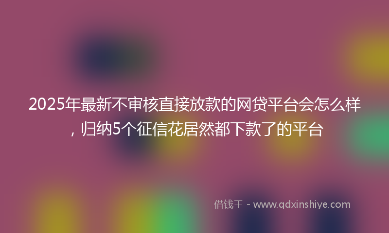 2025年最新不审核直接放款的网贷平台会怎么样，归纳5个征信花居然都下款了的平台