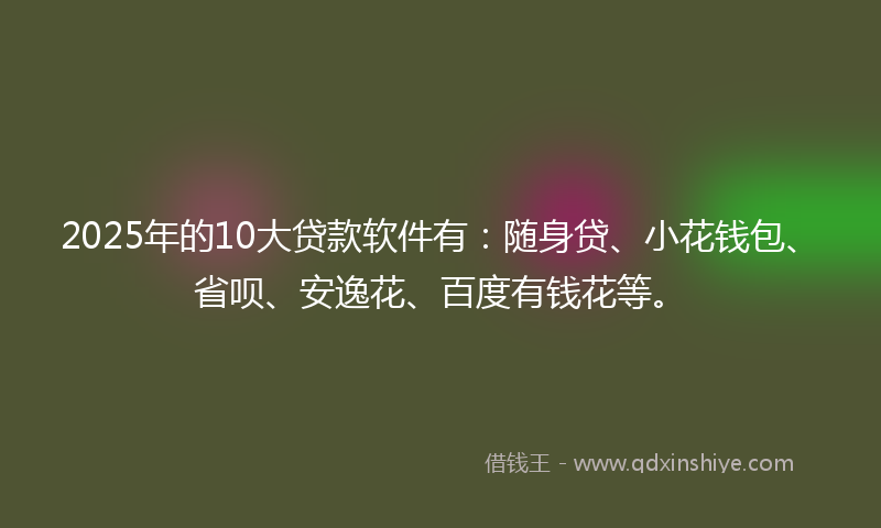 2025年的10大贷款软件有：随身贷、小花钱包、省呗、安逸花、百度有钱花等。