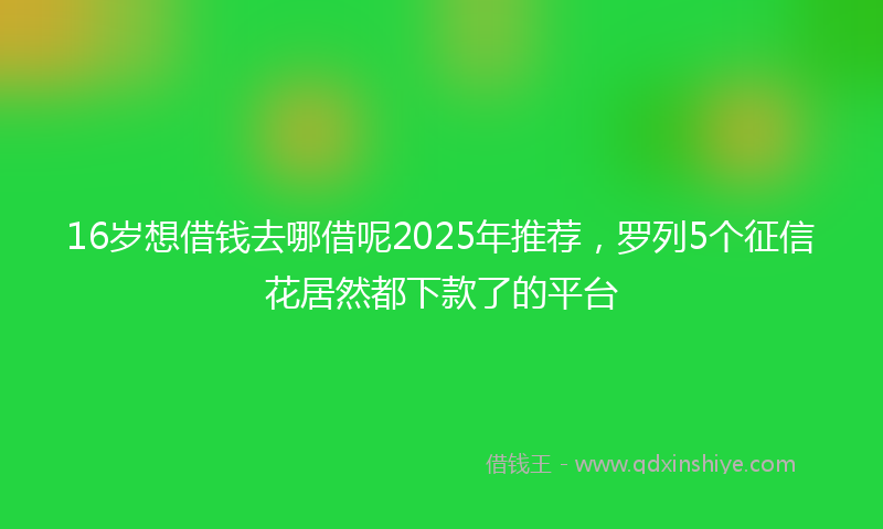 16岁想借钱去哪借呢2025年推荐，罗列5个征信花居然都下款了的平台
