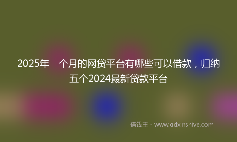 2025年一个月的网贷平台有哪些可以借款，归纳五个2024最新贷款平台