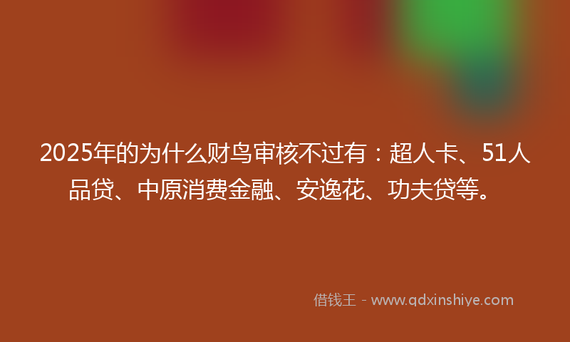 2025年的为什么财鸟审核不过有：超人卡、51人品贷、中原消费金融、安逸花、功夫贷等。