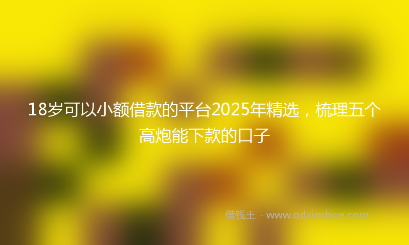 18岁可以小额借款的平台2025年精选，梳理五个高炮能下款的口子