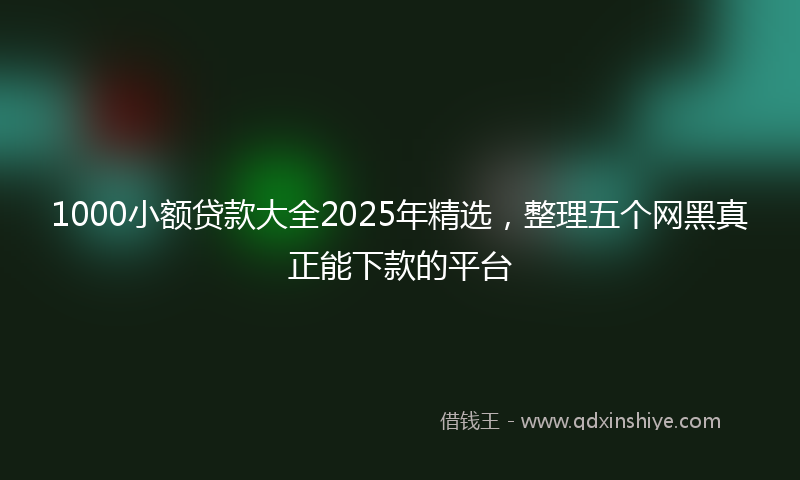 1000小额贷款大全2025年精选，整理五个网黑真正能下款的平台