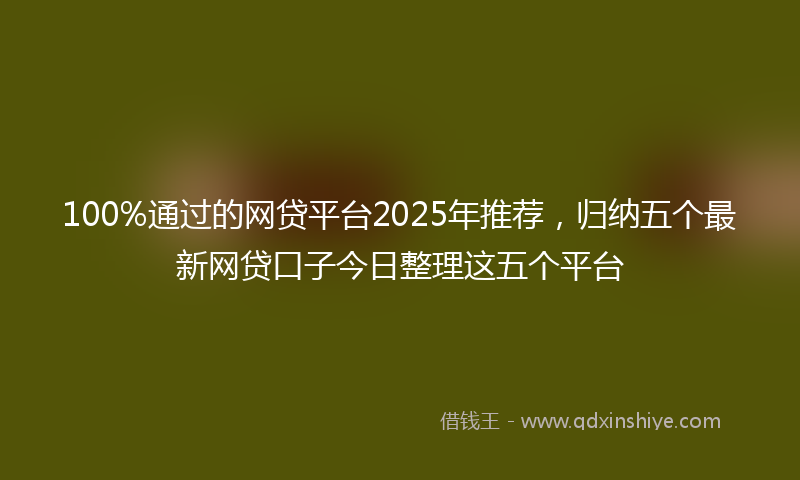 100%通过的网贷平台2025年推荐，归纳五个最新网贷口子今日整理这五个平台