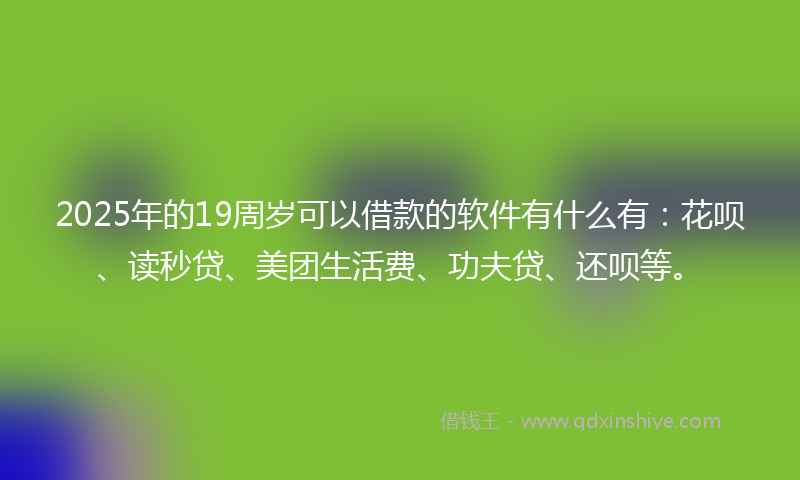 2025年的19周岁可以借款的软件有什么有：花呗、读秒贷、美团生活费、功夫贷、还呗等。