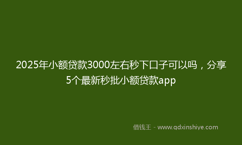2025年小额贷款3000左右秒下口子可以吗，分享5个最新秒批小额贷款app