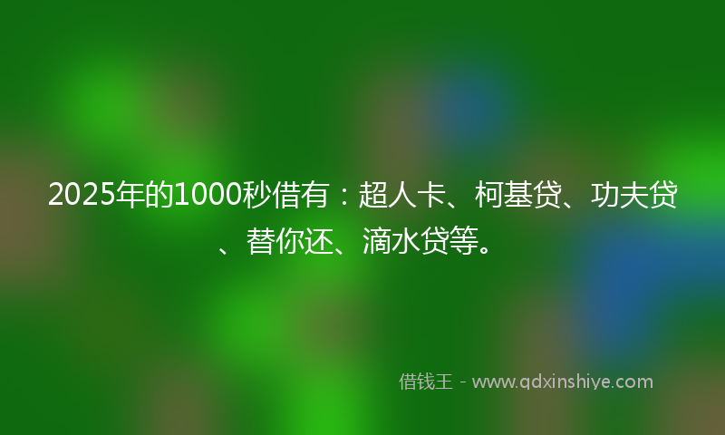 2025年的1000秒借有：超人卡、柯基贷、功夫贷、替你还、滴水贷等。