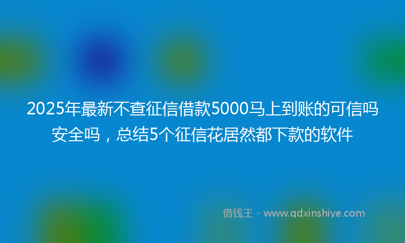 2025年最新不查征信借款5000马上到账的可信吗安全吗，总结5个征信花居然都下款的软件
