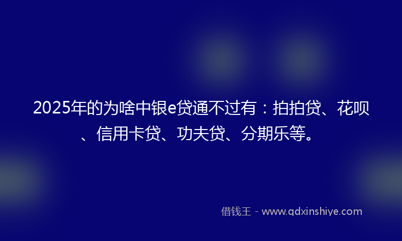 2025年的为啥中银e贷通不过有：拍拍贷、花呗、信用卡贷、功夫贷、分期乐等。