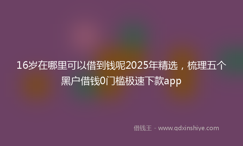 16岁在哪里可以借到钱呢2025年精选，梳理五个黑户借钱0门槛极速下款app