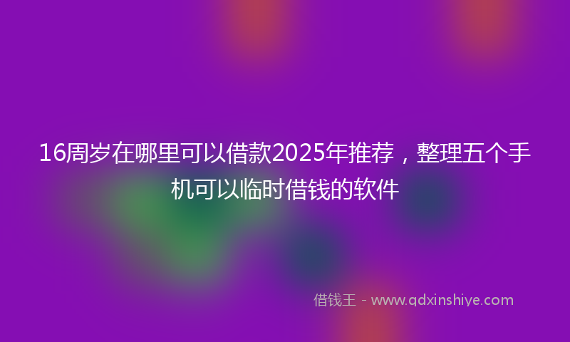 16周岁在哪里可以借款2025年推荐，整理五个手机可以临时借钱的软件