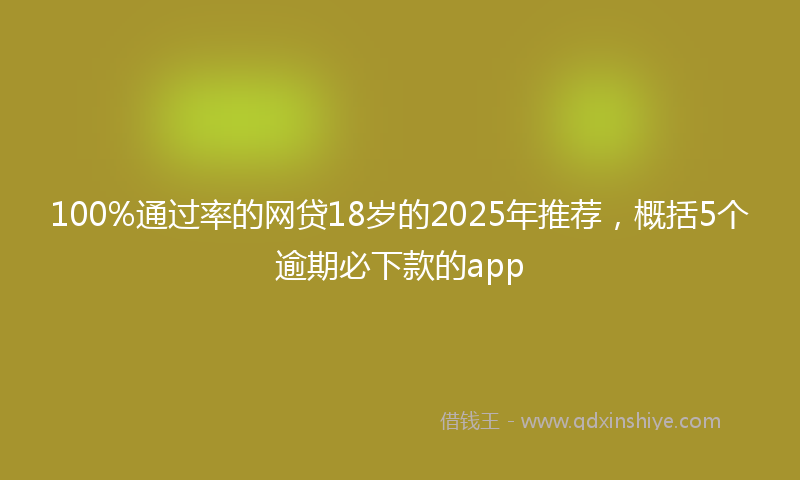 100%通过率的网贷18岁的2025年推荐，概括5个逾期必下款的app