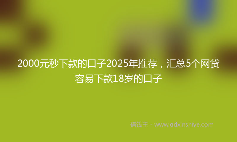 2000元秒下款的口子2025年推荐，汇总5个网贷容易下款18岁的口子