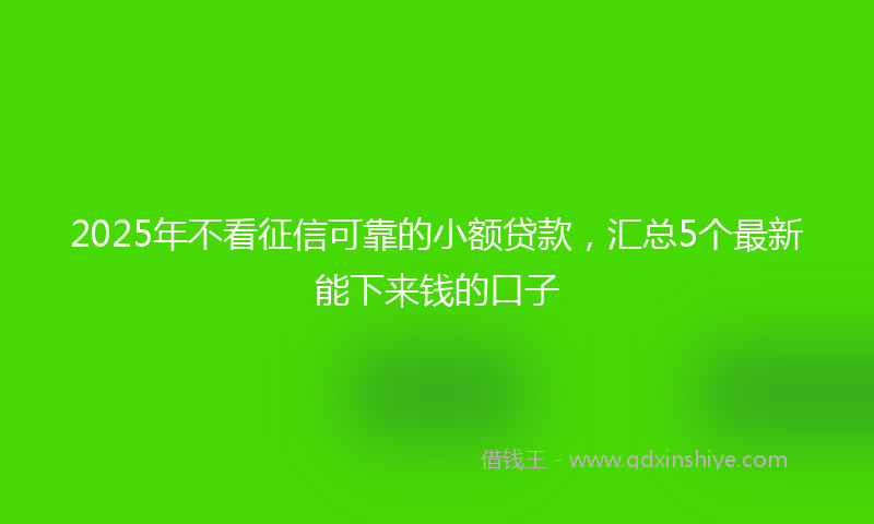 2025年不看征信可靠的小额贷款，汇总5个最新能下来钱的口子