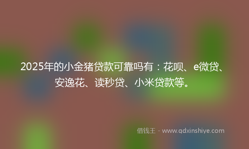 2025年的小金猪贷款可靠吗有：花呗、e微贷、安逸花、读秒贷、小米贷款等。