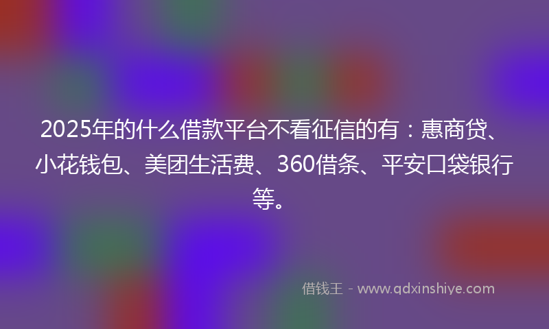 2025年的什么借款平台不看征信的有：惠商贷、小花钱包、美团生活费、360借条、平安口袋银行等。