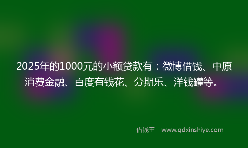 2025年的1000元的小额贷款有：微博借钱、中原消费金融、百度有钱花、分期乐、洋钱罐等。