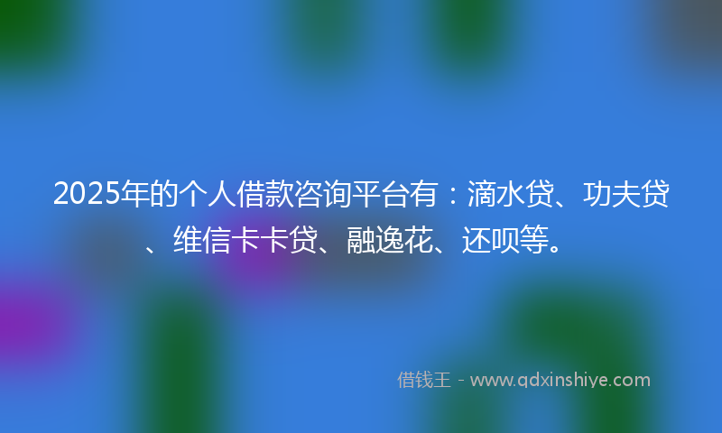 2025年的个人借款咨询平台有：滴水贷、功夫贷、维信卡卡贷、融逸花、还呗等。
