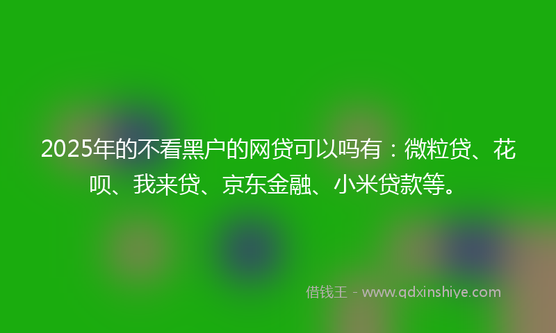 2025年的不看黑户的网贷可以吗有：微粒贷、花呗、我来贷、京东金融、小米贷款等。