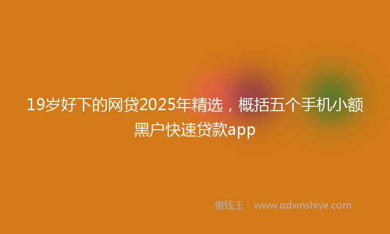 19岁好下的网贷2025年精选，概括五个手机小额黑户快速贷款app
