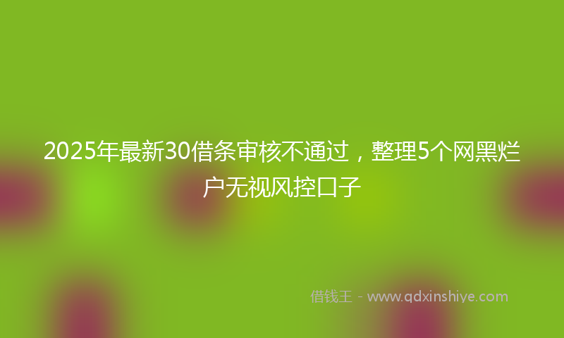 2025年最新30借条审核不通过，整理5个网黑烂户无视风控口子