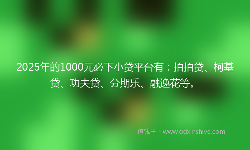 2025年的1000元必下小贷平台有：拍拍贷、柯基贷、功夫贷、分期乐、融逸花等。