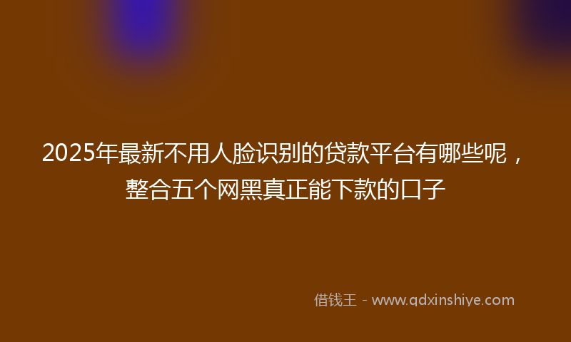 2025年最新不用人脸识别的贷款平台有哪些呢，整合五个网黑真正能下款的口子