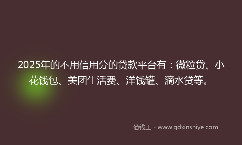 2025年的不用信用分的贷款平台有：微粒贷、小花钱包、美团生活费、洋钱罐、滴水贷等。